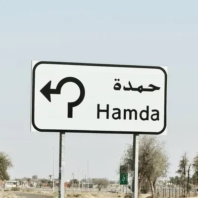 حمدة الفلاحي profile