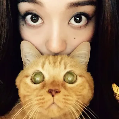 松島花アニマル🐈♡🐕 profile