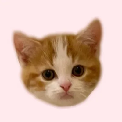 はなとさっくん。 profile