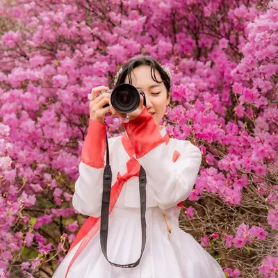 조선여자 모나 Hanbok girl Mona profile