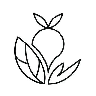 Hands on Veggies profile