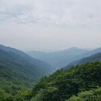 김행복 profile