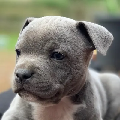 Happy profile
