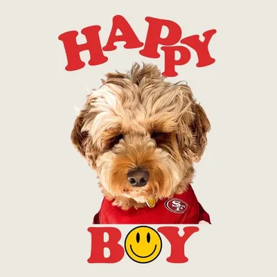 Happy Boy profile