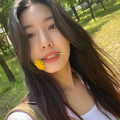 한 제이 Han Jei profile