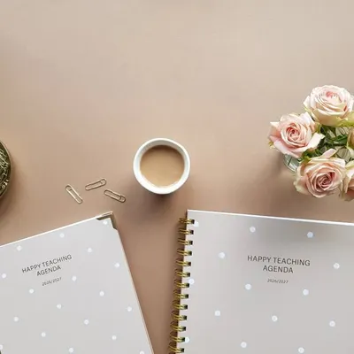 Happy Teaching Agenda - teach with love profile