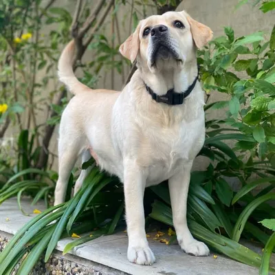 Happy profile
