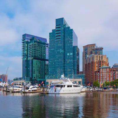 Harbor East profile