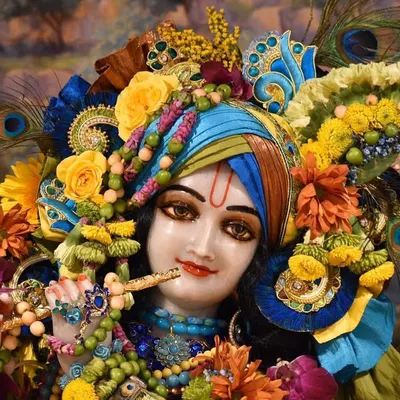 Hare Krishna Darshan profile