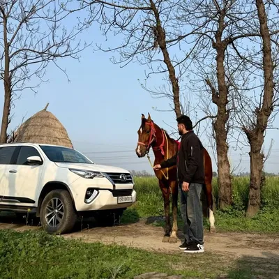 ਹਰਕਮਲ ਸਿੰਘ ਖਰੌੜ profile