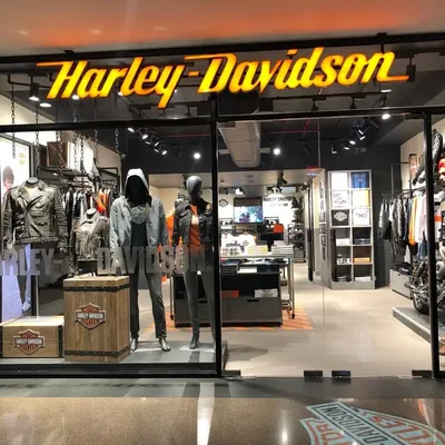 HarleyDavidsonLdh profile