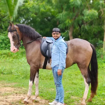 Harpal BhAi Vavdi profile
