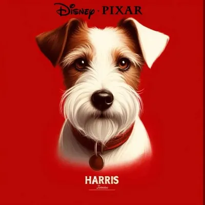 Harris Jrt profile