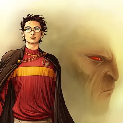 Harry Potter France⚡️ profile