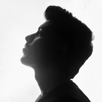 H A R S H A L profile