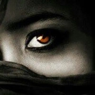 Harsh Darji profile