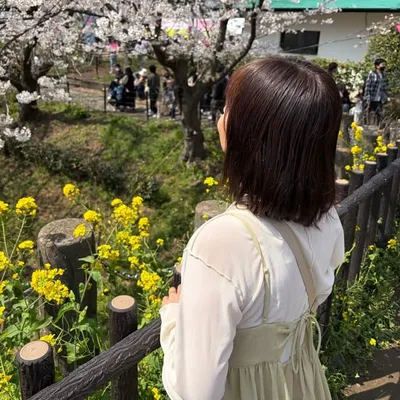 MIHO / 暮らしを楽しむ profile