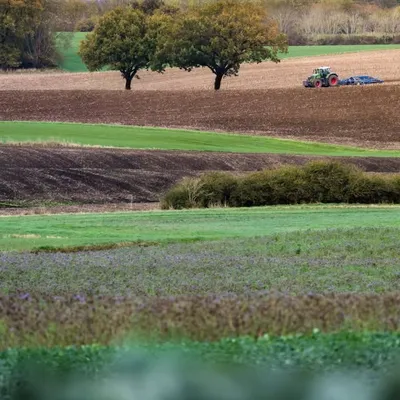 HARVEST MV profile