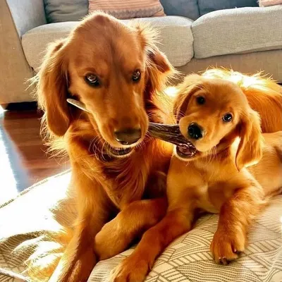 H A R V E Y + M I L L I E ๐ profile