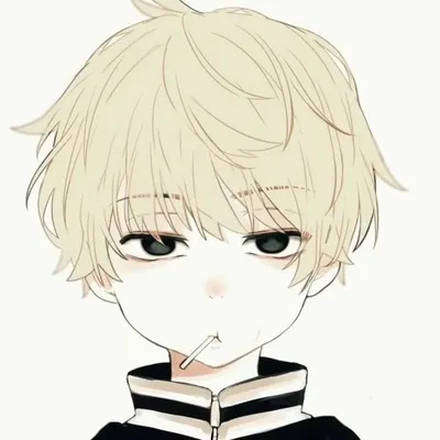 ハルシュ profile