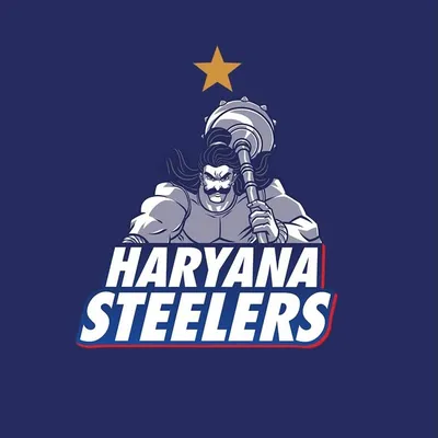 Haryana Steelers profile