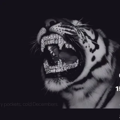 โ ๐ธ ๐ โ ๐ธ โ ๐ปโ๐ธ๐๐๐๐ธ๐ profile