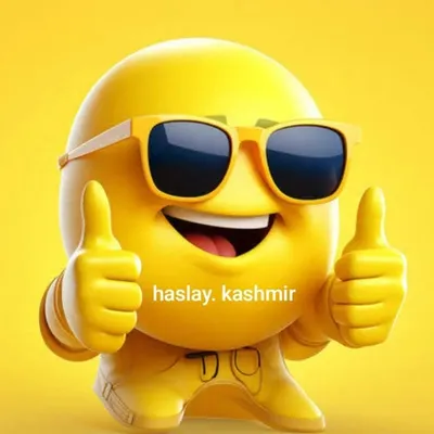 haslay kashmir profile