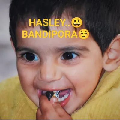 Hasley Bandiporaa profile