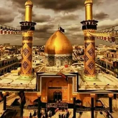 حسنین وارشی profile