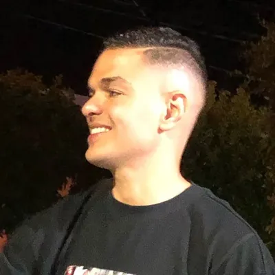 Hatem Ben Arfa profile
