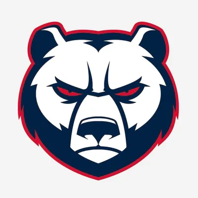 Hauptstadteishockey profile