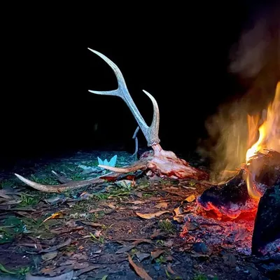 Endless Cast Antler Search profile