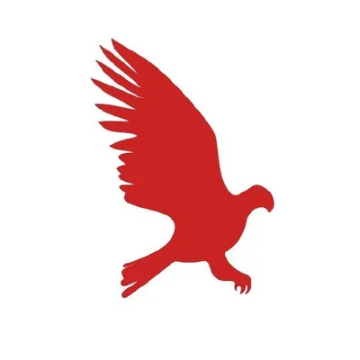 Hawke Media profile
