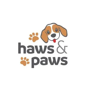 Köpekler hakkında her şey profile
