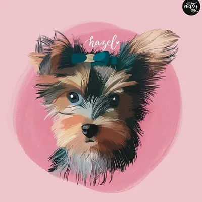 Hazel profile