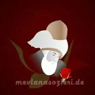 Mevlana Sözleri Instagram profile photo