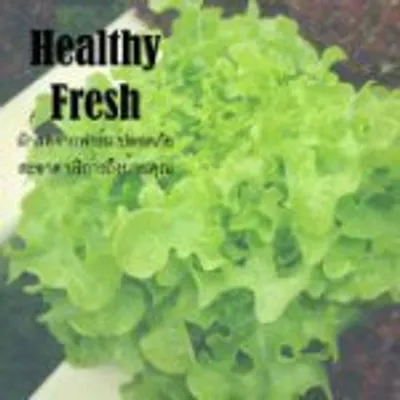 healthyfresh profile