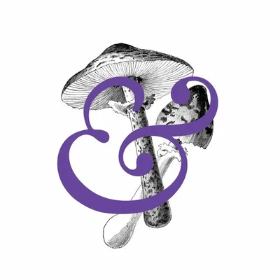 Hearth & i | 7-14 course | Luxury Catering | Food Design profile