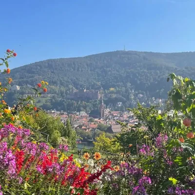 heidelberg loves you profile