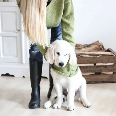 Meli & Cooper profile