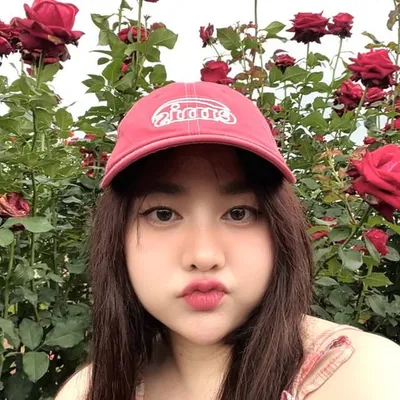 Panpi profile