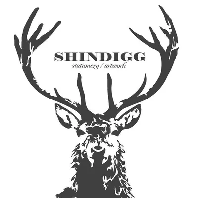 Shindigg profile