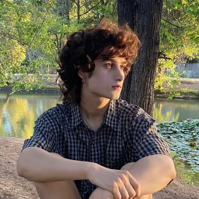 Henry profile