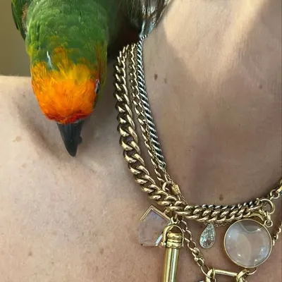 Dominique And Mango profile