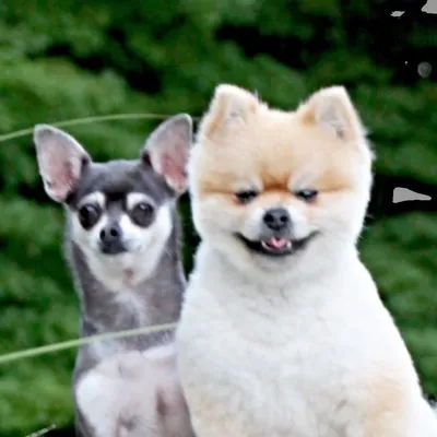 Henry & Matilda ๐พ profile