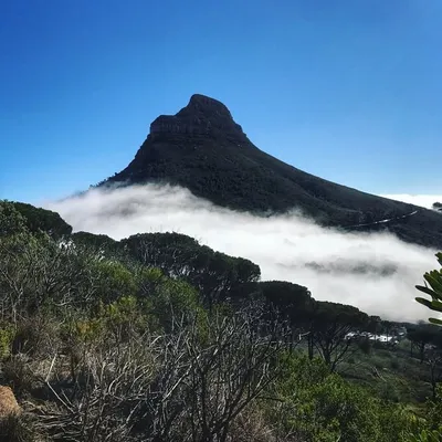 Andrew Gates profile