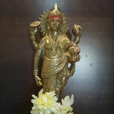 Ayurveda🌳Dravyaguna🌹Vanaspati🍀 profile