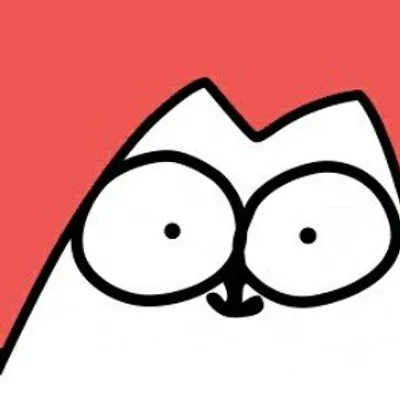 HERE CATS of instagram😻 profile