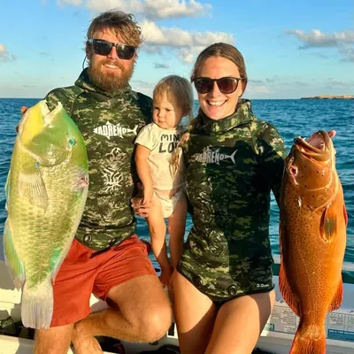 Tim Mitchell- Fishing and Diving Around Aus๐ฆ๐บ๐ฃ๐ฅ profile