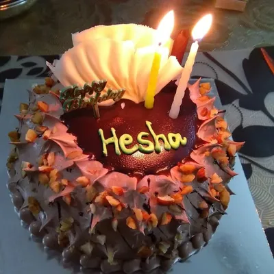Hesha Shah profile